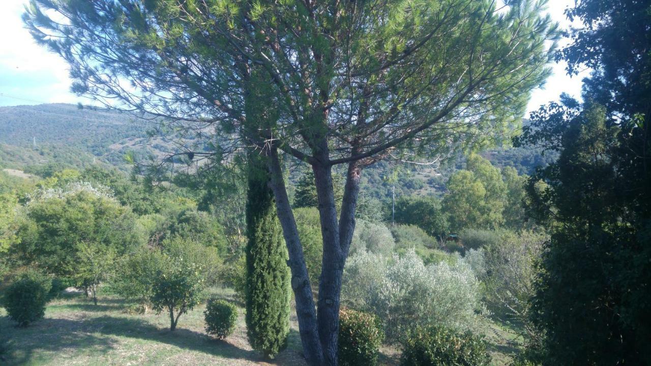 Villa Degli Olmi Allumiere Exterior photo